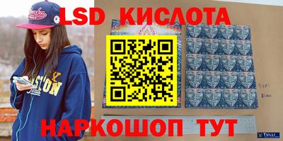 ешки Бийск