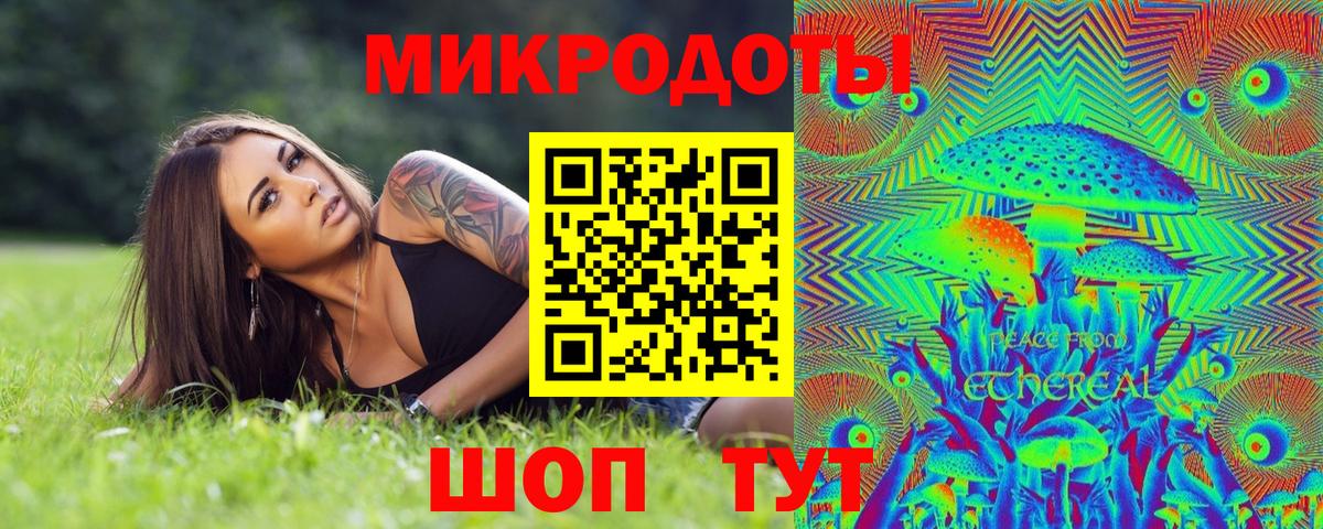 Галлюциногенные грибы Psilocybe Барнаул